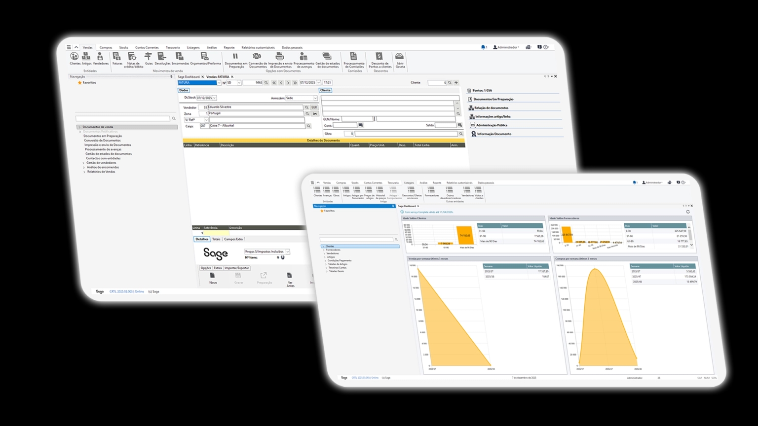 Sage 50cloud Faturação
